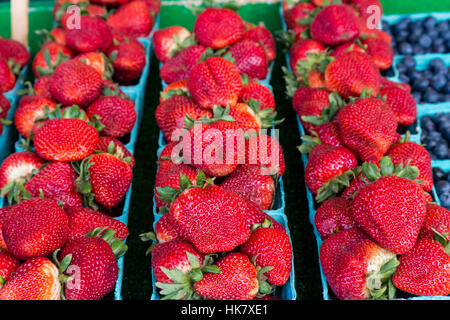 Ceste piene di fragole fresche in un mercato Foto Stock