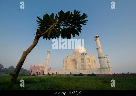 Il Taj Mahal, l'edificio più bello del mondo, attrae migliaia di turisti ogni giorno Foto Stock