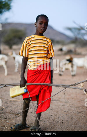 KENYA, Marsabit, Samburu village Hargura, giovane pastore con capre / KENIA, Marsabit, Samburu Dorf Hargura, Ziegenherde abend kehrt zurueck ins Dorf, junger Hirte Foto Stock