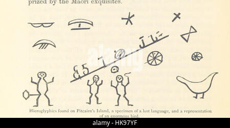 Te Ika a Maui, o, in Nuova Zelanda e dei suoi abitanti ... Seconda edizione, etc immagine presa da pagina 742 di 'Te Foto Stock