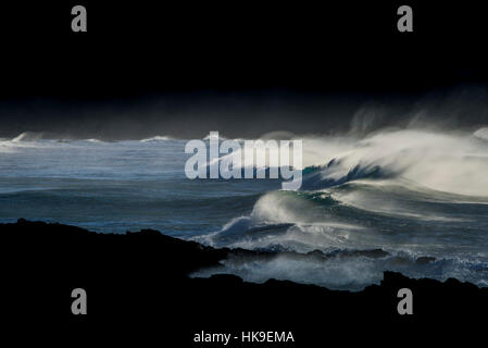 Vento ad alta velocità onde Spray Fistral Newquay North Cornwall Regno Unito meteo Foto Stock