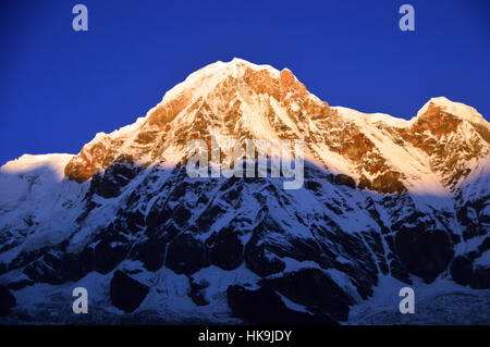 Alba sul Monte Annapurna a sud di Annapurna base camp (ABC) Santuario Annapurna Himalaya,, Nepal, Asia. Foto Stock