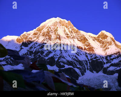 Alba sul Monte Annapurna a sud di Annapurna base camp (ABC) Santuario Annapurna Himalaya,, Nepal, Asia. Foto Stock