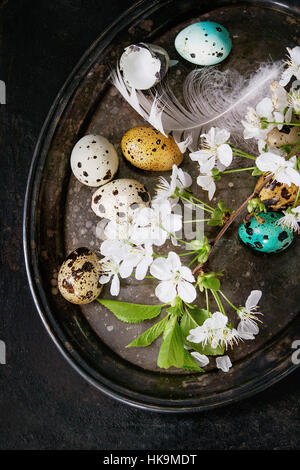 Il decor colorato Pasqua uova di quaglia con molla di fiori di ciliegio, MOSS e bird giù su vintage vassoio di metallo nero su sfondo di texture. Rustico scuro st Foto Stock