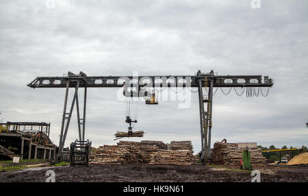 Gru movimentazione di un sacco di legno per la fabbricazione della carta Foto Stock