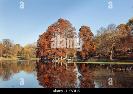 Paesaggio autunnale nel Parco da Craiova, Romania Foto Stock