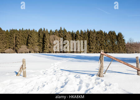 Nelle Ardenne valloni più lunga strada c'è un prato nella neve Foto Stock