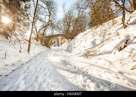 Nelle Ardenne valloni più lunga strada vi è un ponte di neve Foto Stock