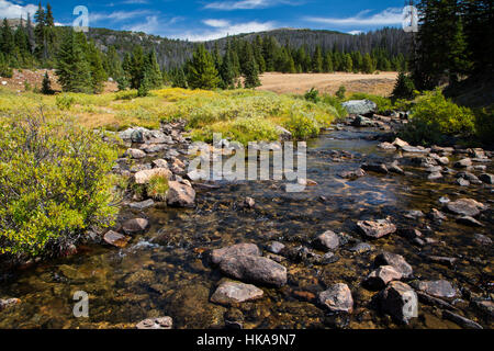 Un torrente che scorre da una foresta lungo la Beartooth Loop Trail nel Beartooth Mountains. Shoshone National Forest, Wyoming Foto Stock