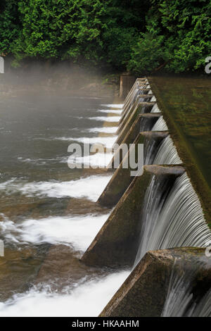 Il Capilano Salmon Hatchery, Vancouver, British Columbia, Canada Foto Stock