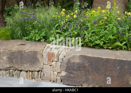 Il Giardino M&G, vista della Foresta di Dean panca di masso di pietra arenaria, Aquilegia chrysantha, Aquilegia alpina aiuole di fiori rialzati Foto Stock