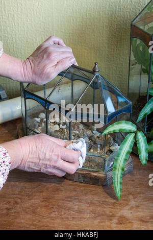 Pulizia del vetro di un terrario Foto Stock