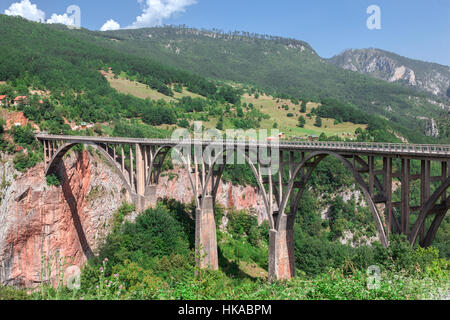 Durdevica Tara ponte sul fiume, un arco di calcestruzzo su nel nord del Montenegro Foto Stock