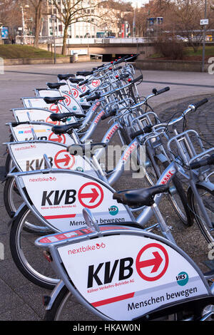 Germania, Colonia, biciclette a noleggio della società Koelner Verkehrsbetriebe KVB (Colonia azienda di trasporto pubblico) Foto Stock