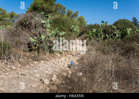 Visita a Ramat Hanadiv a Zihron Ya'akov, Israele Foto Stock