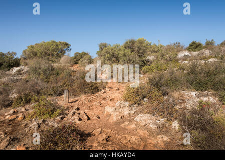 Visita a Ramat Hanadiv a Zihron Ya'akov, Israele Foto Stock