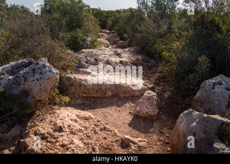 Visita a Ramat Hanadiv a Zihron Ya'akov, Israele Foto Stock