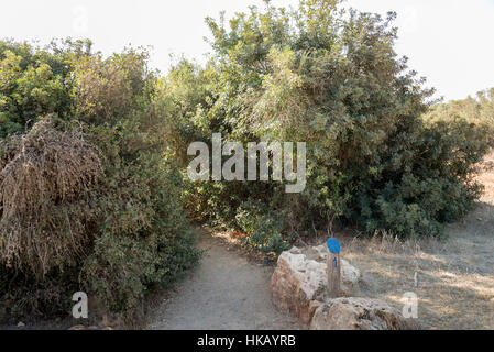 Visita a Ramat Hanadiv a Zihron Ya'akov, Israele Foto Stock