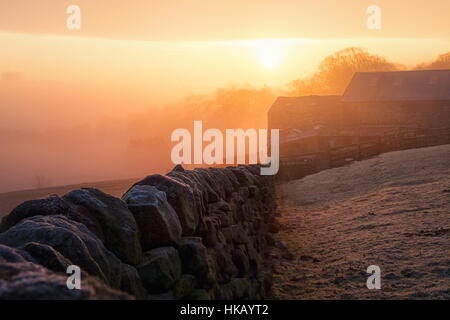 Sunrise su una fattoria dello Yorkshire, Burley in Wharfedale, Regno Unito Foto Stock