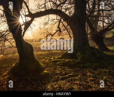 Drammatica alba luce nella campagna dello Yorkshire, vicino a Ilkley, England, Regno Unito Foto Stock