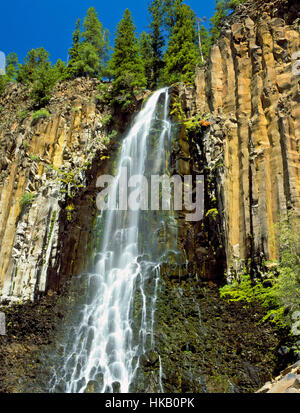 Palizzata cade debordi basalto colonnare in oriente forcella hyalite bacino del torrente vicino a Bozeman, Montana Foto Stock