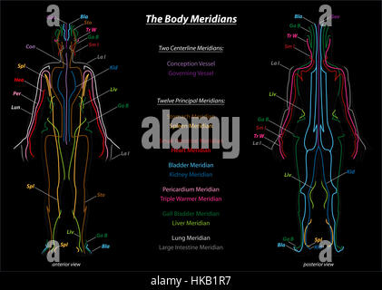 Donna con i meridiani del corpo e i loro nomi - Vista anteriore e posteriore - Sfondo nero. Foto Stock