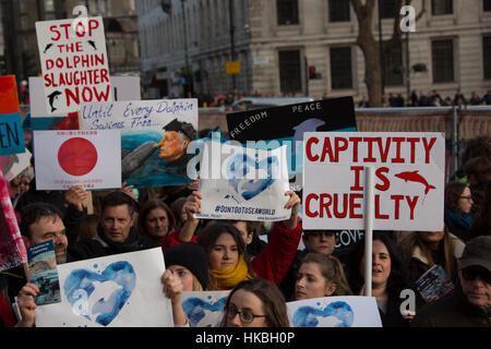 Londra, UK. Il 28 gennaio, 2017. I manifestanti hanno marciato nel centro di Londra e aderito all'Ambasciata giapponese a dimostrare contro il continuo abbattimento dei delfini nel Taiji. David Rowe/Alamy Live News Foto Stock