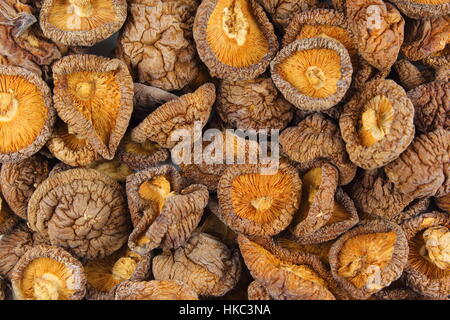 Essiccato funghi shiitake closeup food texture di sfondo Foto Stock