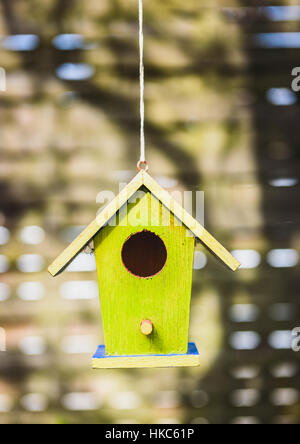 Un vecchio weathered DIY birdhouse appesi dall'albero. Colorato piccolo uccello casa con pareti verdi. Foto Stock