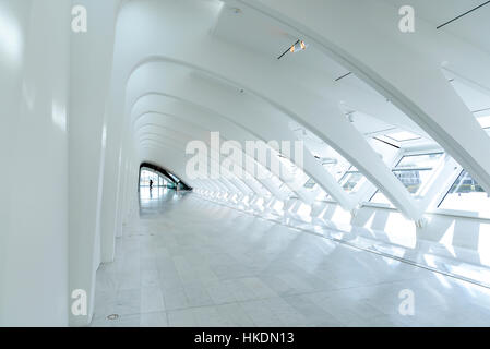 Il Milwaukee Art Museum progettato da Santiago Calatrava. Foto Stock