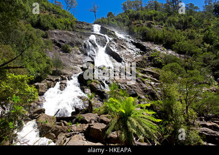 San Columba Falls, Pyengana, Tasmania Foto Stock