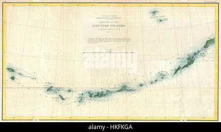 Questa mappa del 1873 dello U.S. Coast Survey mostra le Isole Aleutine in Alaska. Mette in evidenza le caratteristiche geografiche della regione, tra cui i contorni costieri e la topografia, fornendo una vista storica di questa zona remota. Foto Stock