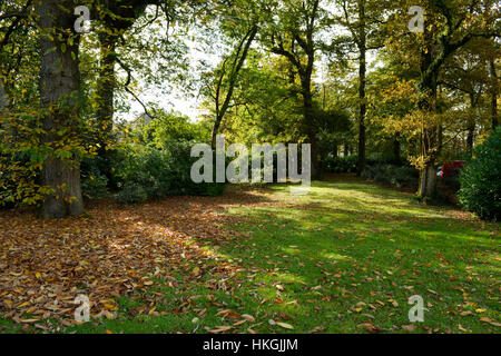 Vista dall'esterno Corte di Arlington, Devon Foto Stock