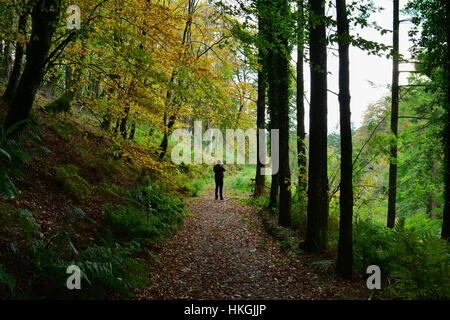 Vista dall'esterno Corte di Arlington, Devon Foto Stock