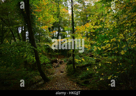 Vista dall'esterno Corte di Arlington, Devon Foto Stock