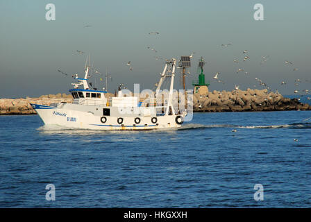 Mare Adriatico, una barca da pesca di entrare nel porto di Chioggia seguita da un volo di gabbiani. Foto Stock