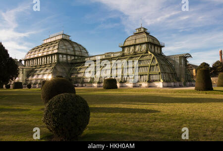 La Palmenhaus Schönbrunn è una grande serra in Vienna, Austria, dotate di piante provenienti da tutto il mondo. È stato aperto nel 1882. È la maggior parte prom Foto Stock