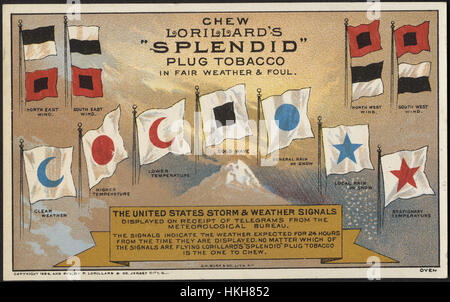 Masticare Lorillard "plendide' plug tabacco, in tempo equo e fallo. Foto Stock