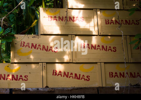 Progetto Eden, Cornwall, Regno Unito Foto Stock