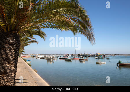 Palmo rivestito promenade di villaggio di pescatori conosciuto come capitale del polpo (capitali Polvo), Santa Luzia, Algarve, Portogallo, Europa Foto Stock