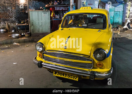 Un iconico giallo Hindustan Ambasciatore taxi su Sudder Street in Kolkata (Calcutta), West Bengal, India. Foto Stock