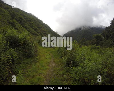 Valle Dzukou Nagaland a nord est dell India Foto Stock