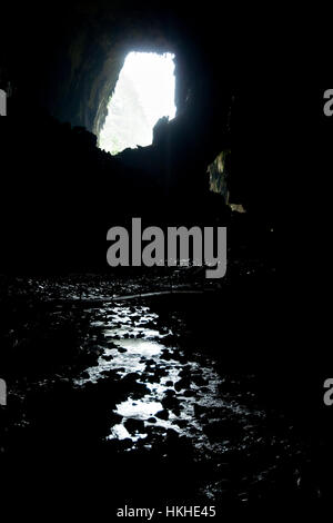 Grotta di cervo - Mulu National Park - Borneo Foto Stock