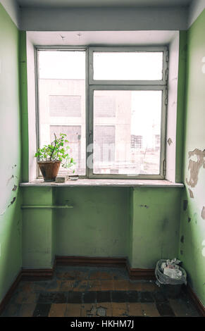 Unico fiore in una pentola di creta sul davanzale. Un superstite in un edificio abbandonato Foto Stock