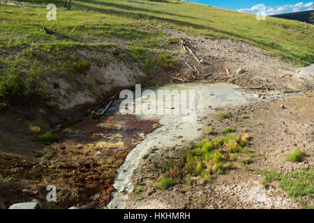 Il Vulcano di fango Area, il Parco Nazionale di Yellowstone, Wyoming USA Foto Stock