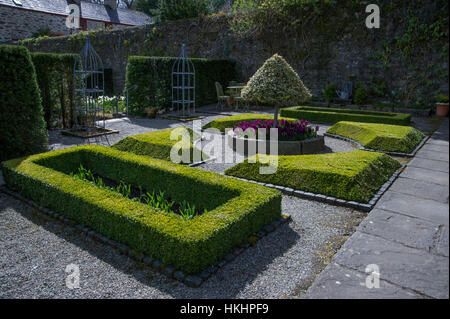 Il garden cottage con standard di Ilex aquifolium 'Silver Queen' e agganciata siepe di buxus sempervirens. Plas Cadnant giardino, Anglesey, Galles del Nord Foto Stock