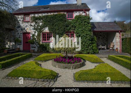 Il garden cottage con standard di Ilex aquifolium 'Silver Queen' e agganciata siepe di buxus sempervirens. Plas Cadnant giardino, Anglesey, Galles del Nord Foto Stock