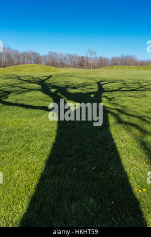 Ombre di albero che attraversa il paesaggio del Tumulo città di gruppo, dove una civiltà di inizio gli indiani americani hanno prosperato circa duemila anni fa, ora preserv Foto Stock