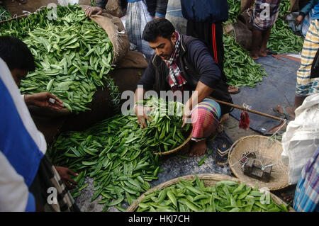 Dacca in Bangladesh. 28 gen, 2017. Un fornitore di vendita a vegetali Kawran bazar che è principale quartiere degli affari e del mercato all'ingrosso posto a Dhaka. Credito: Md. Mehedi Hasan/Pacific Press/Alamy Live News Foto Stock