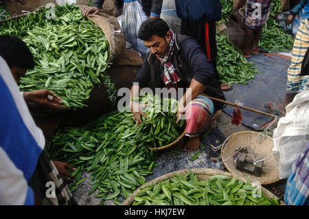 Dacca in Bangladesh. 28 gen, 2017. Un fornitore di vendita a vegetali Kawran bazar che è principale quartiere degli affari e del mercato all'ingrosso posto a Dhaka. Credito: Md. Mehedi Hasan/Pacific Press/Alamy Live News Foto Stock